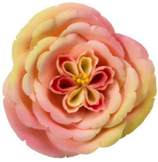 Apricot Nectar Rose - Gumpaste